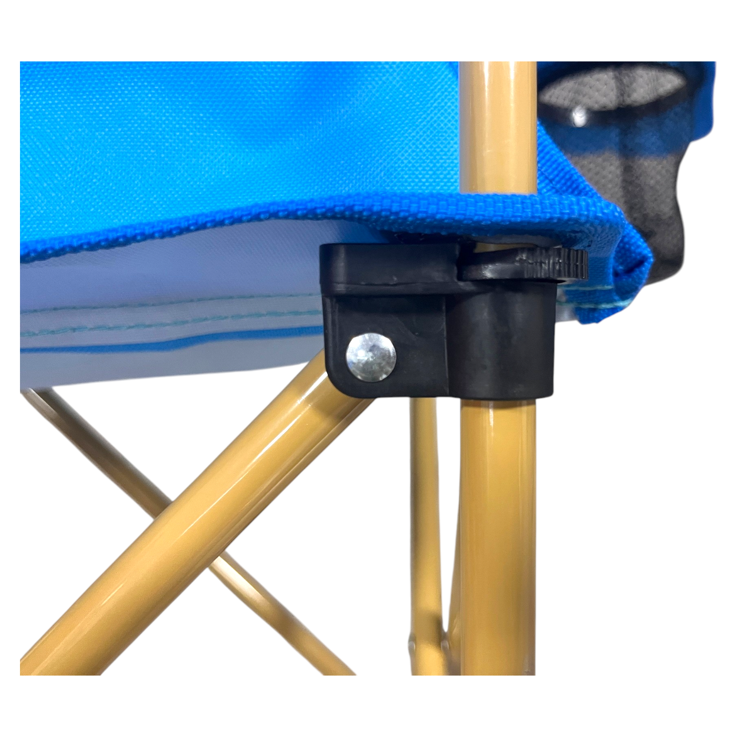 Cookie Monster Camp Chair