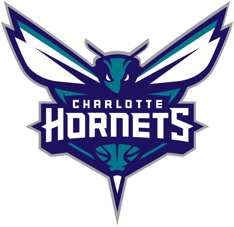 Charlotte Hornets Lanyard Key Strap