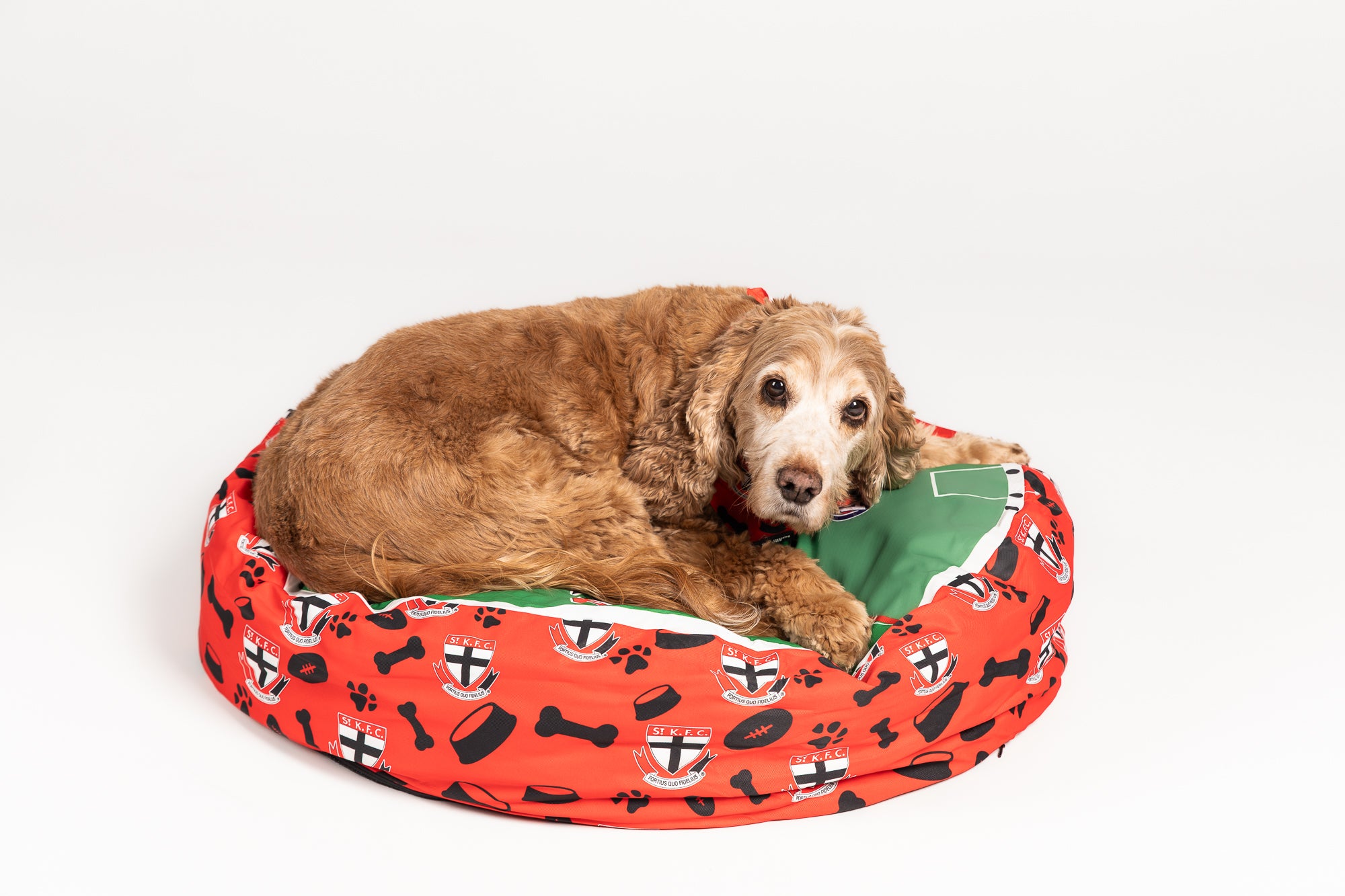 Brisbane Lions AFL Dog Bed