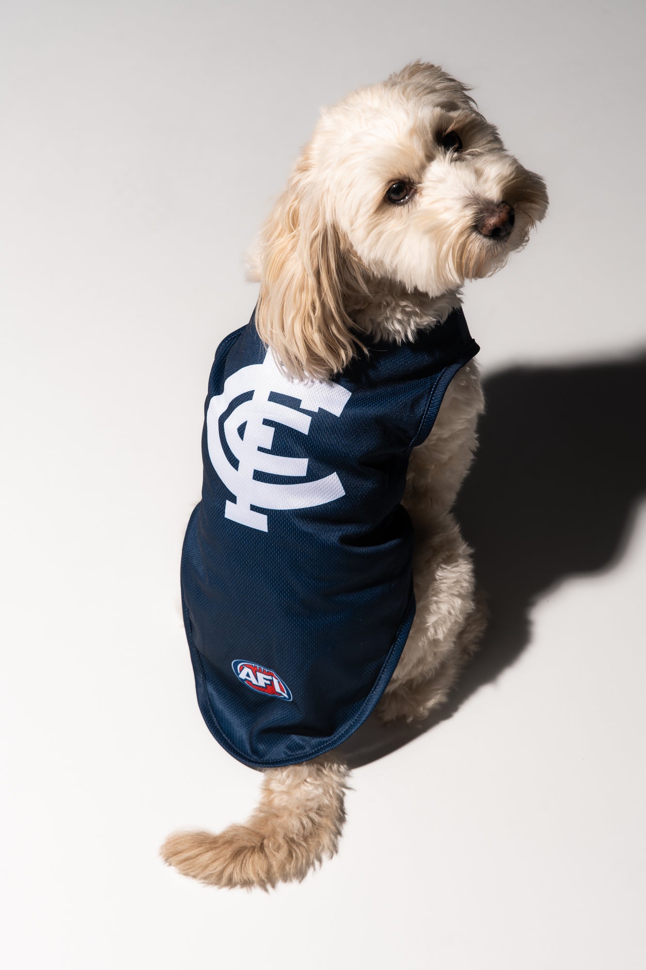 Fremantle Dockers AFL Dog Jersey XS-XL