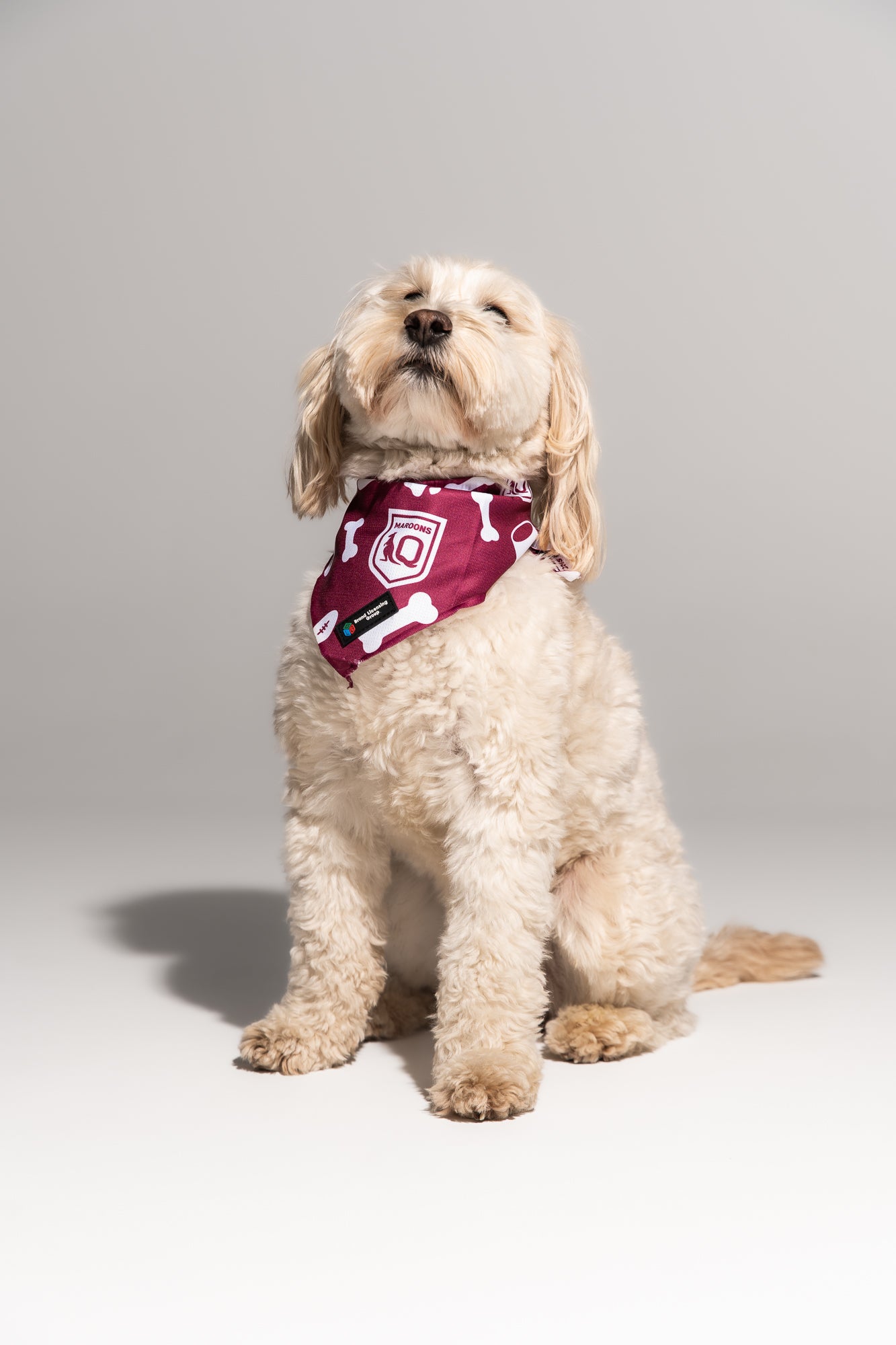 Brisbane Lions AFL Dog Bandana S/L