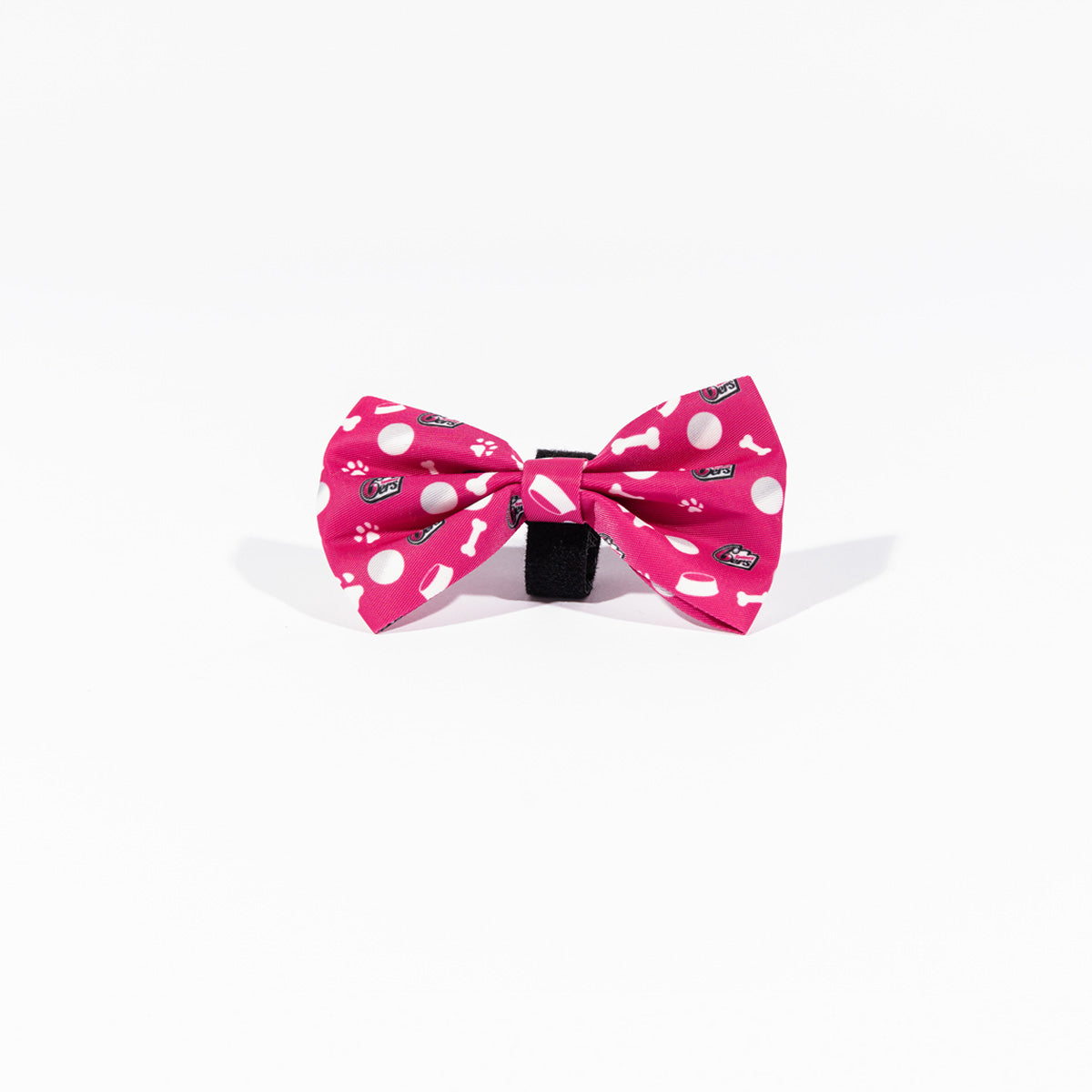 Sydney Sixers BBL Dog Bowtie