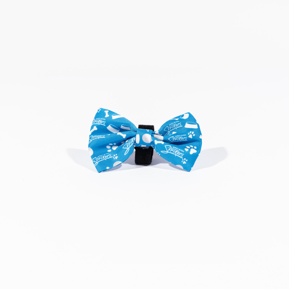 Adelaide Strikers BBL Dog Bowtie