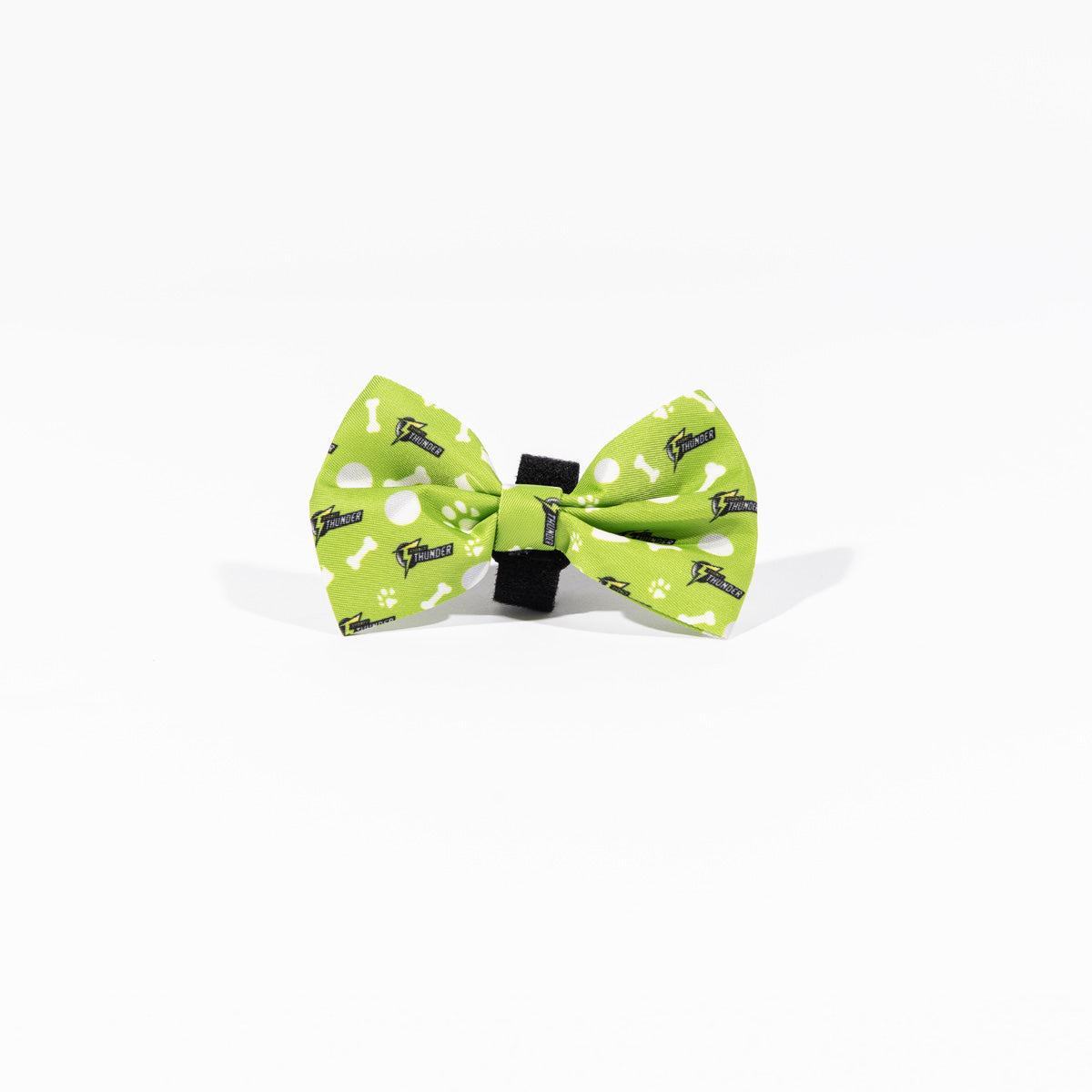 Sydney Thunder BBL Dog Bowtie