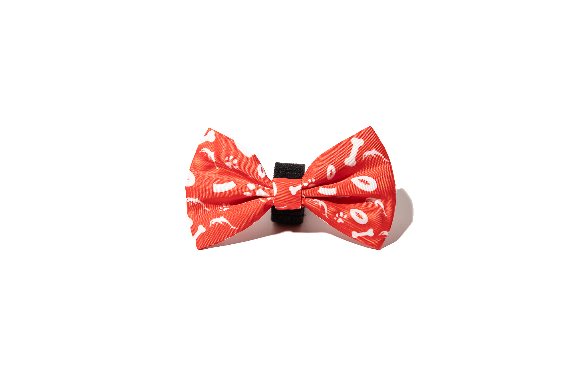 Dolphins NRL Dog Bowtie