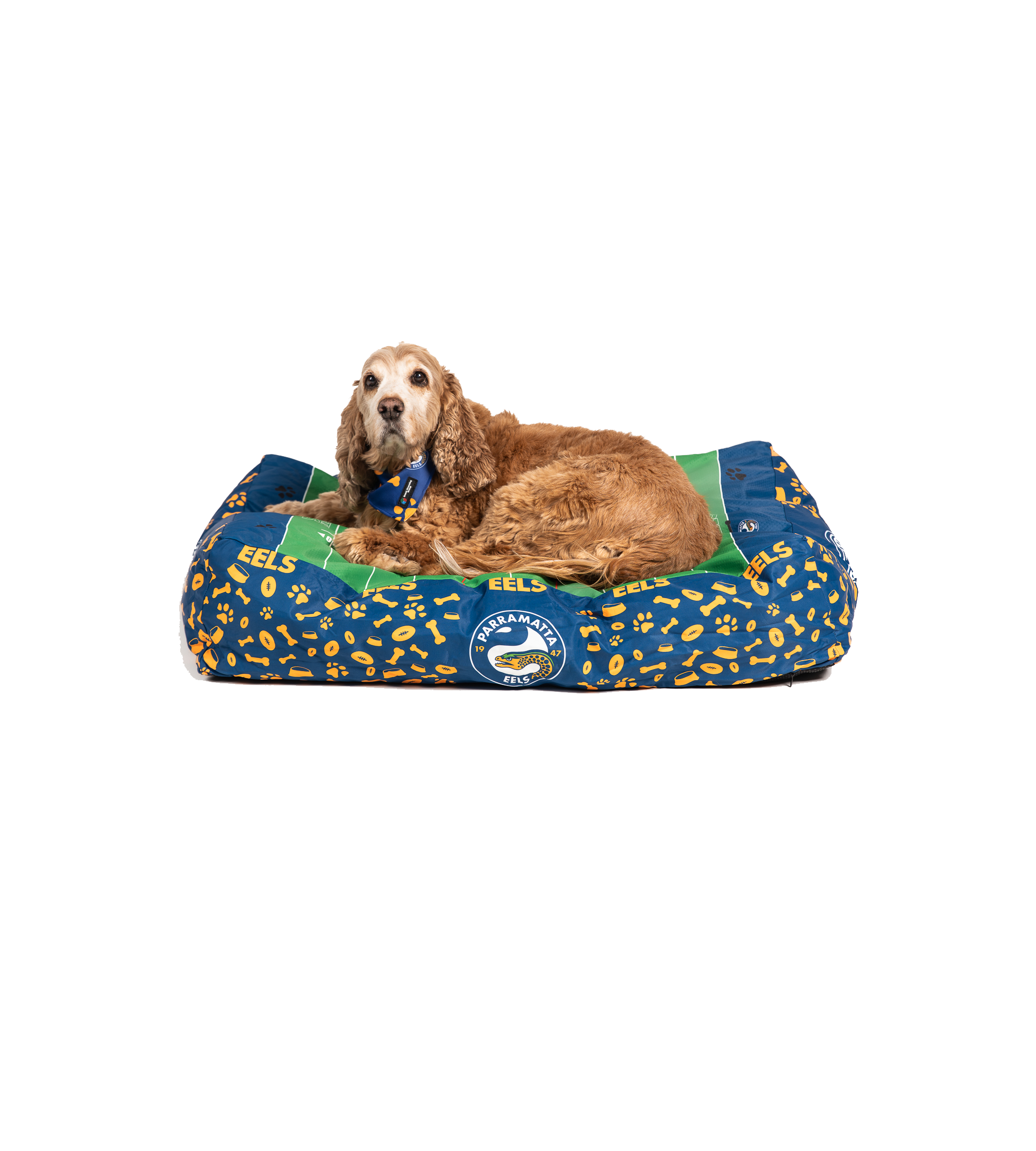Wests Tigers NRL Dog Bed