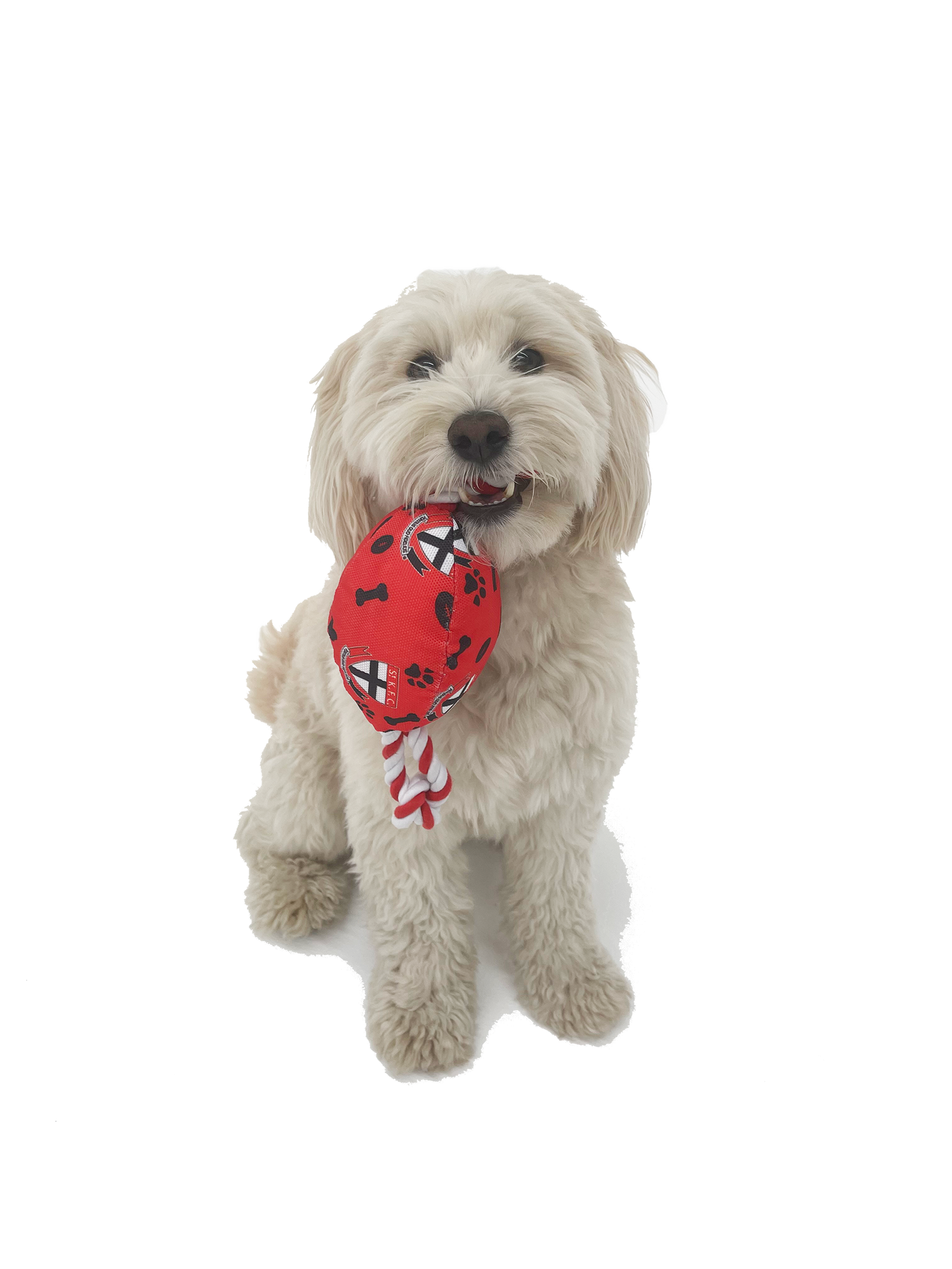 Dolphins NRL Footy Chew Toy