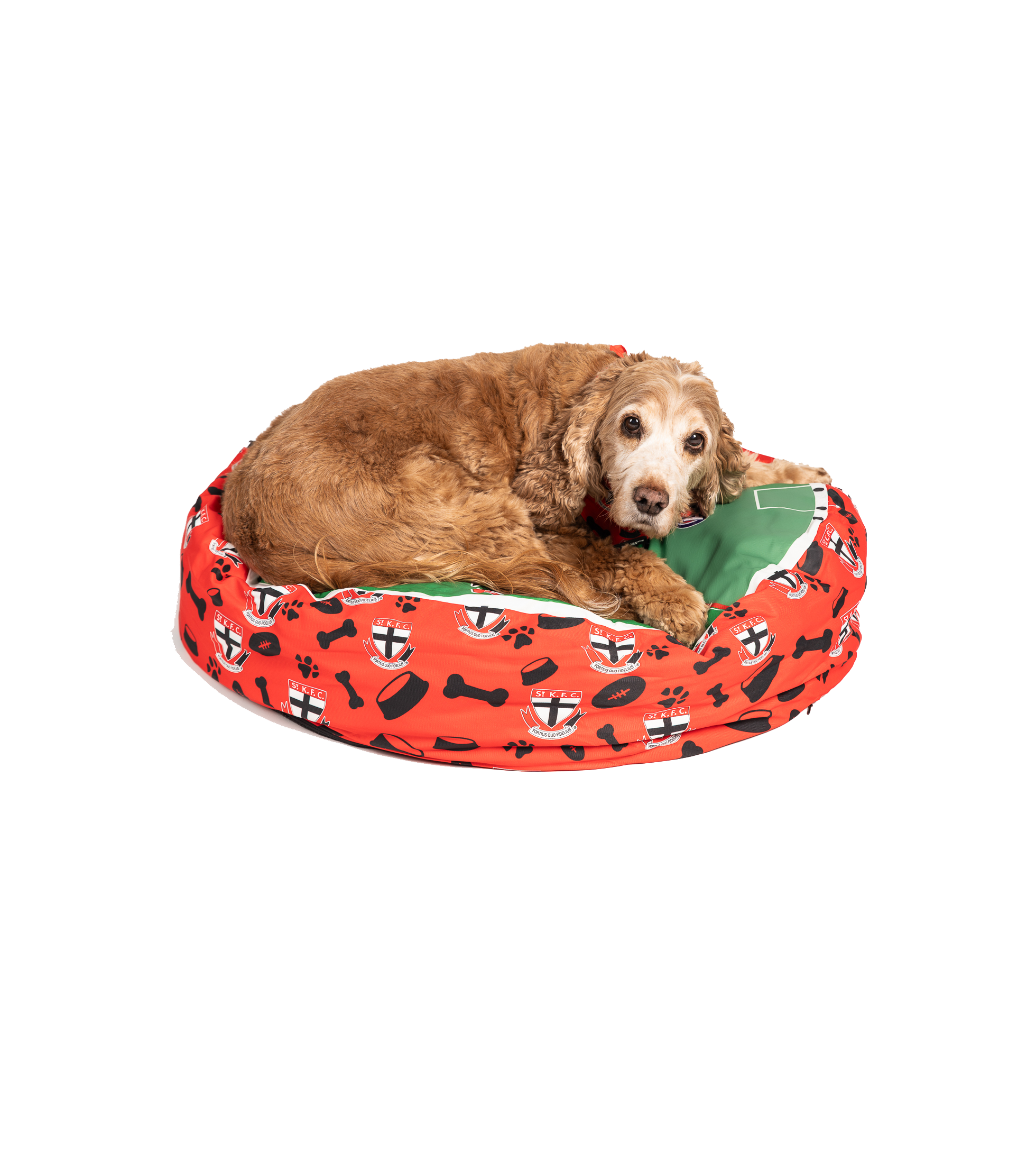 Gold Coast Suns AFL Dog Bed