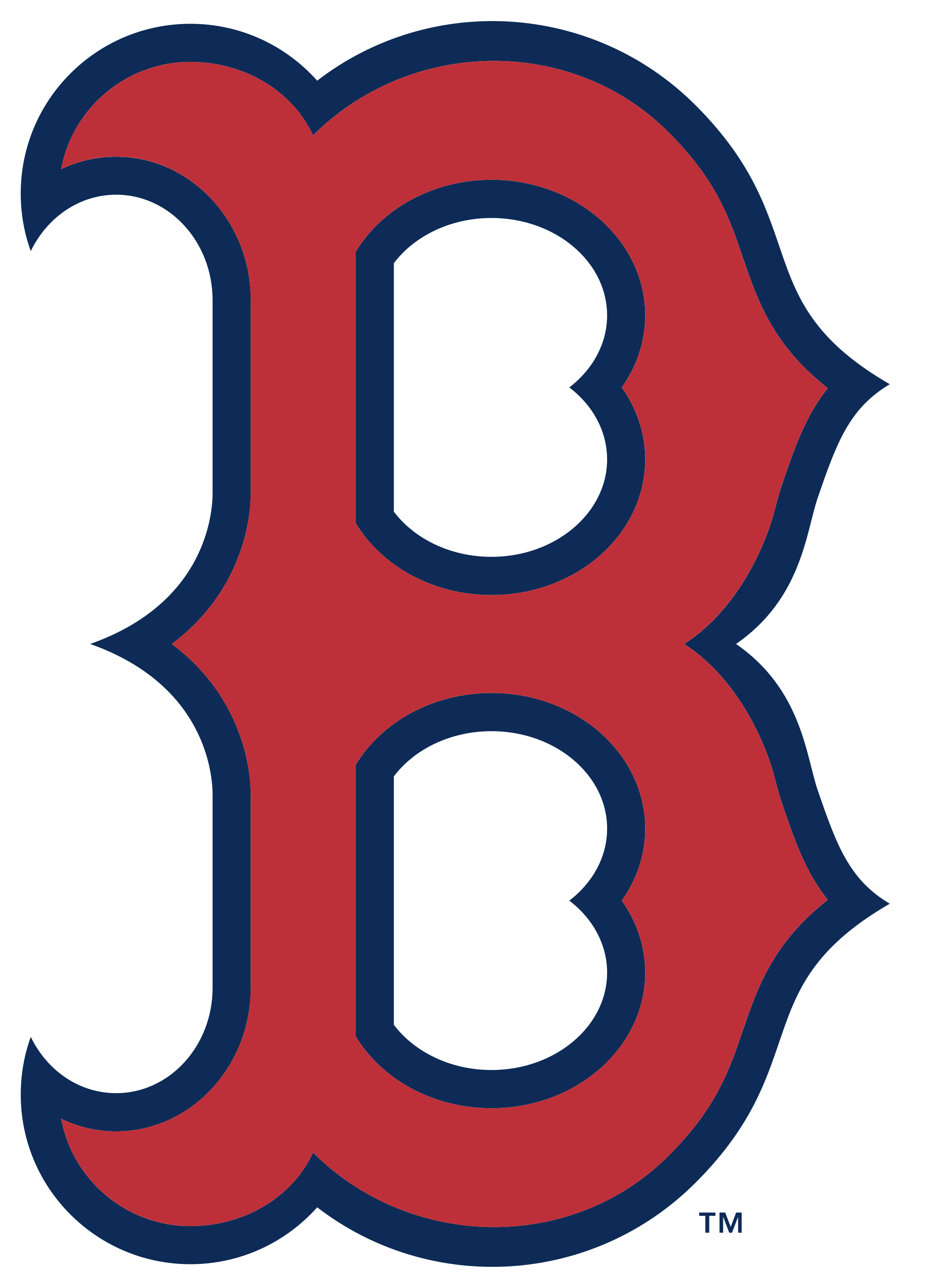 Boston Red Sox Multi Use Decals 42cm x 27cm