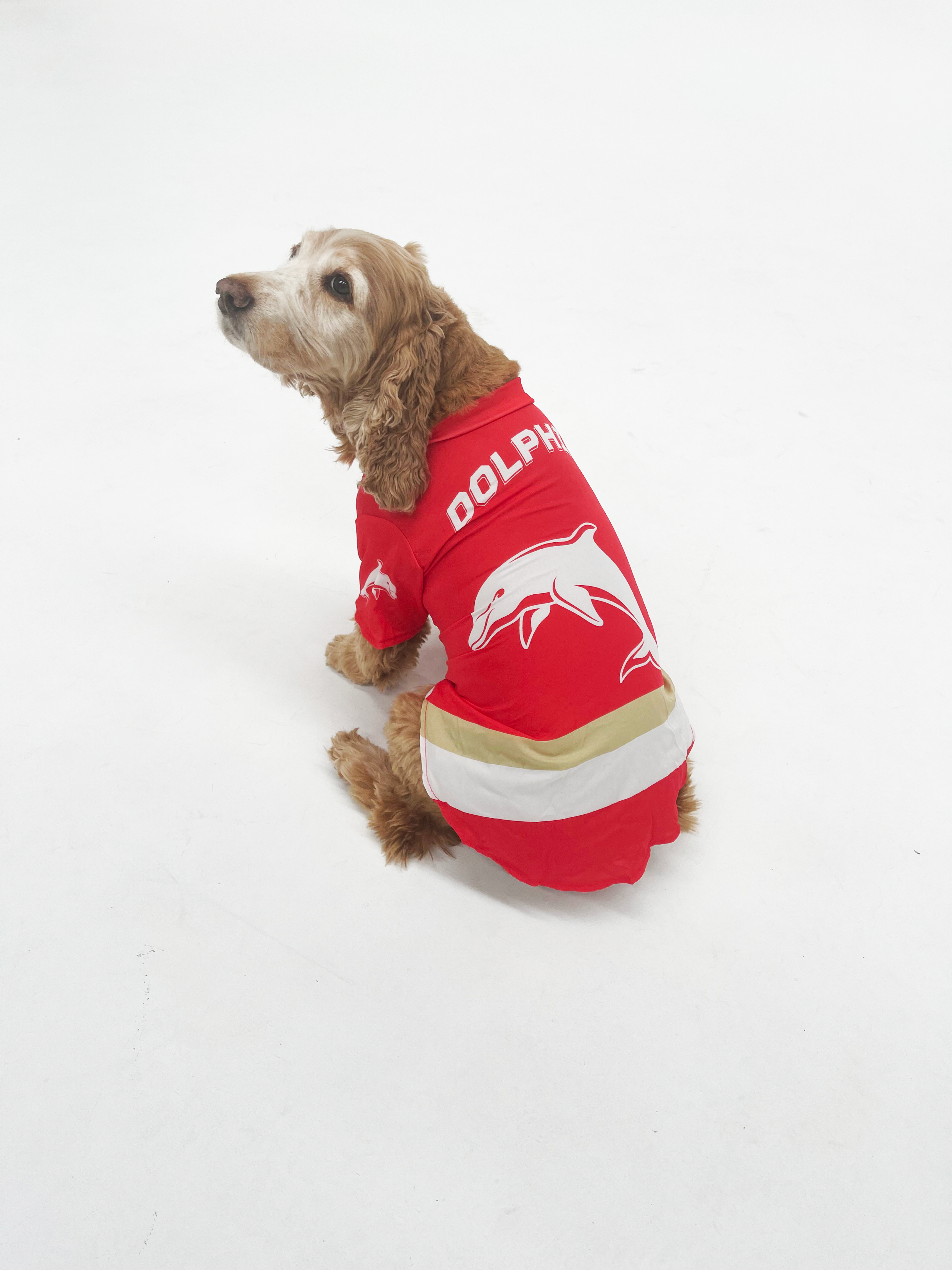 NRL Dog Jersey