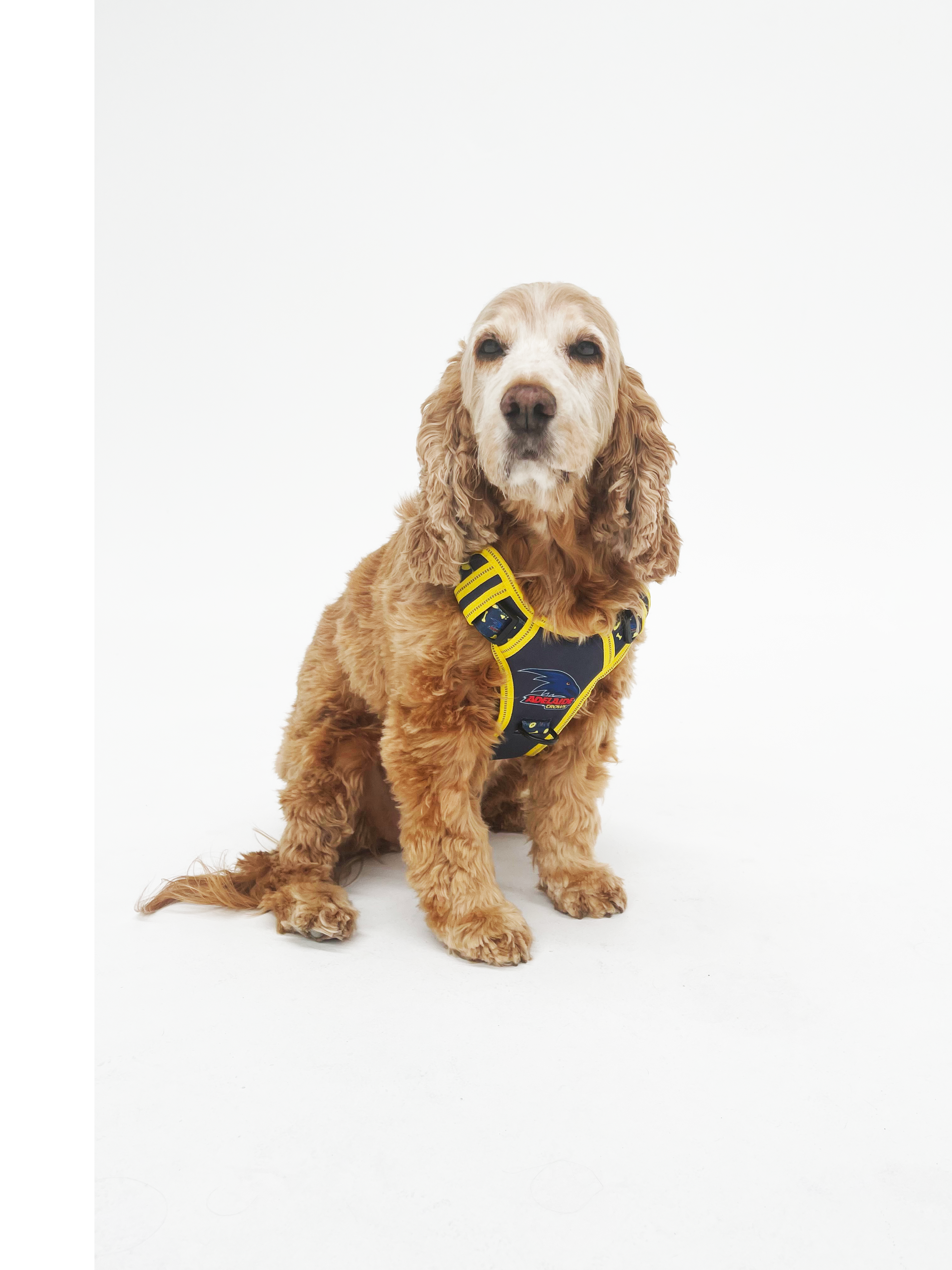 AFL Dog Harness