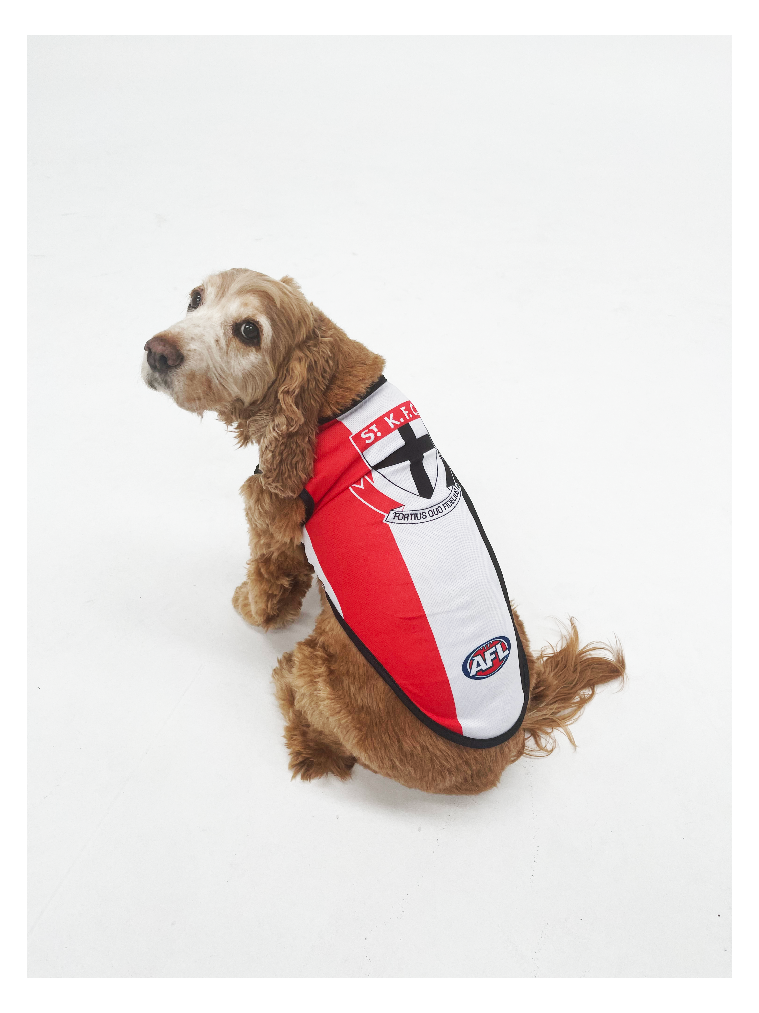 AFL Dog Jersey