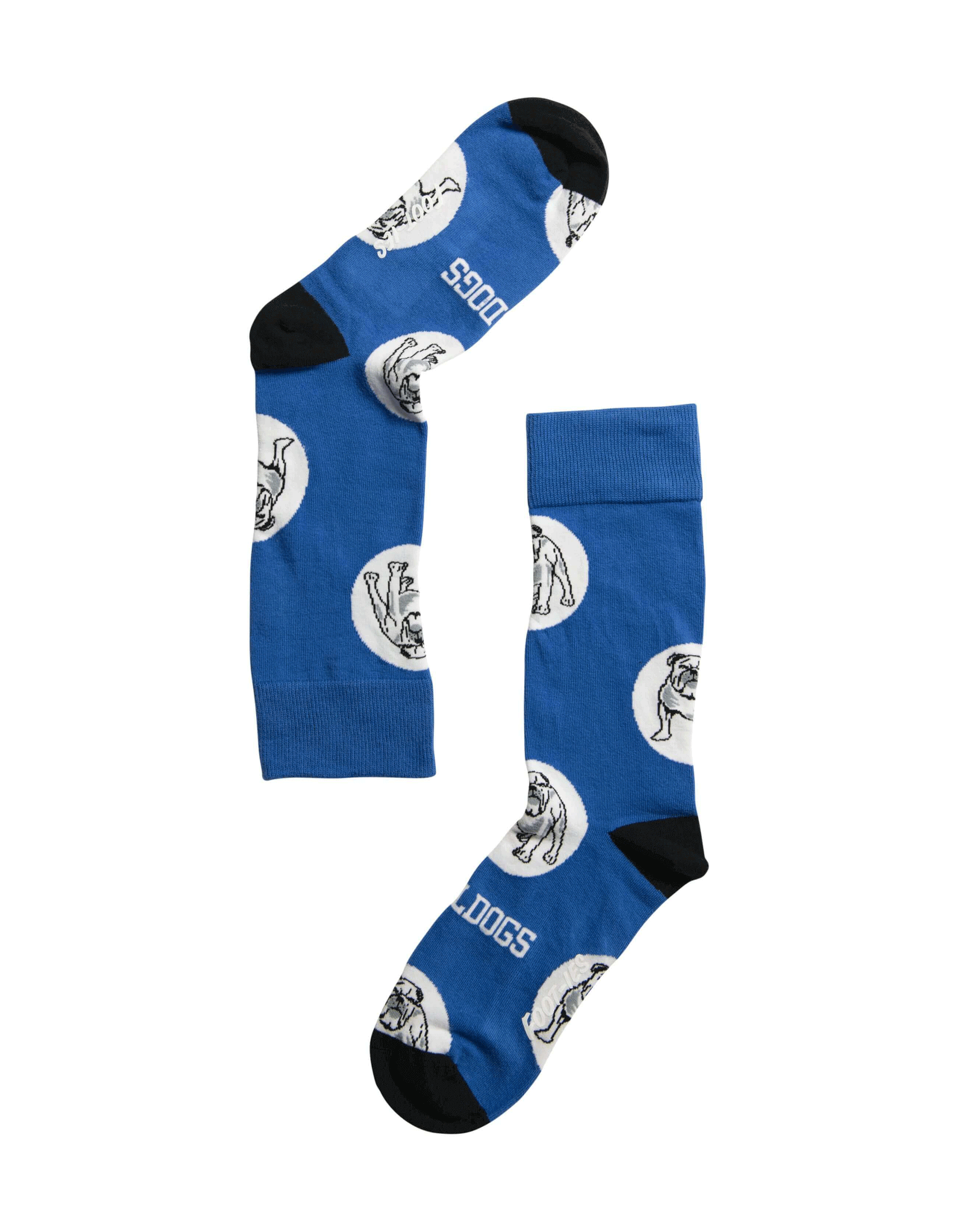 CANTERBURY BULLDOGS NRL LOGO DOTS SOCK M/L_CANTERBURY BULLDOGS_ STUBBY CLUB