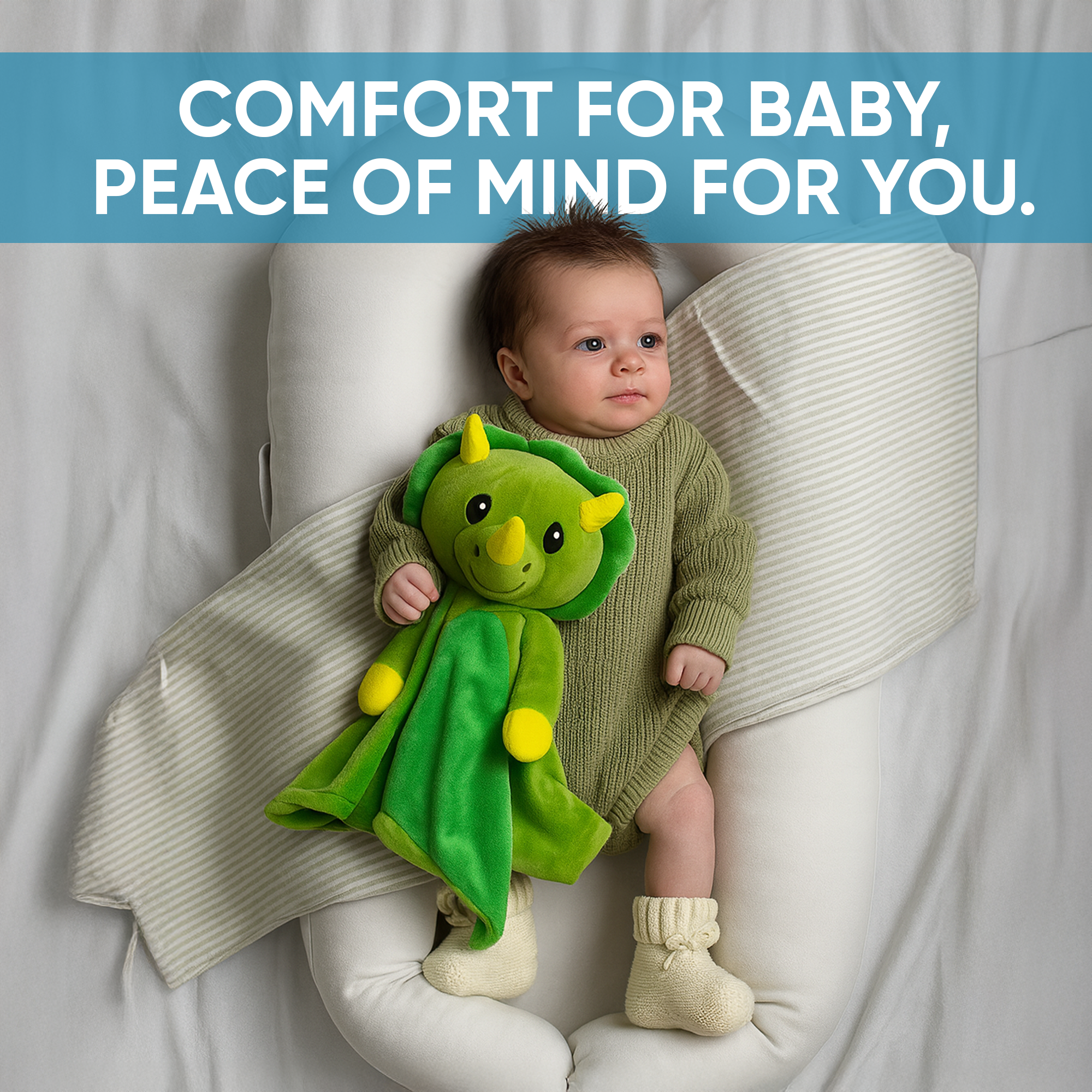 Dinosaur Musical Comforter