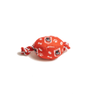 St George Illawarra Dragons NRL Footy Chew Toy