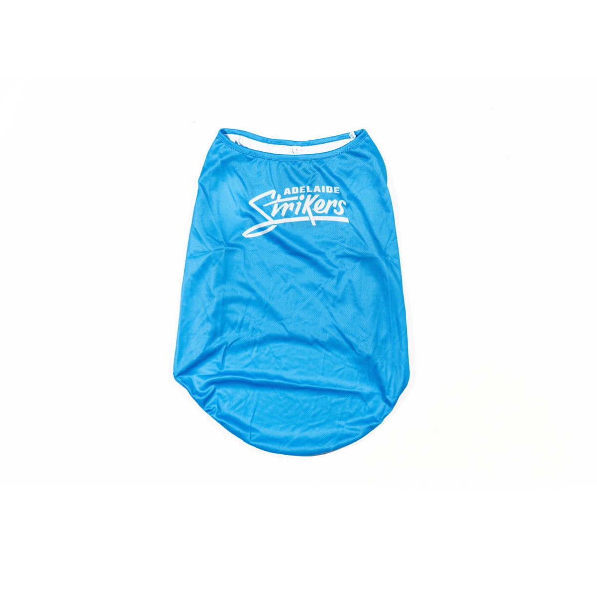 Adelaide Strikers BBL Dog Jersey