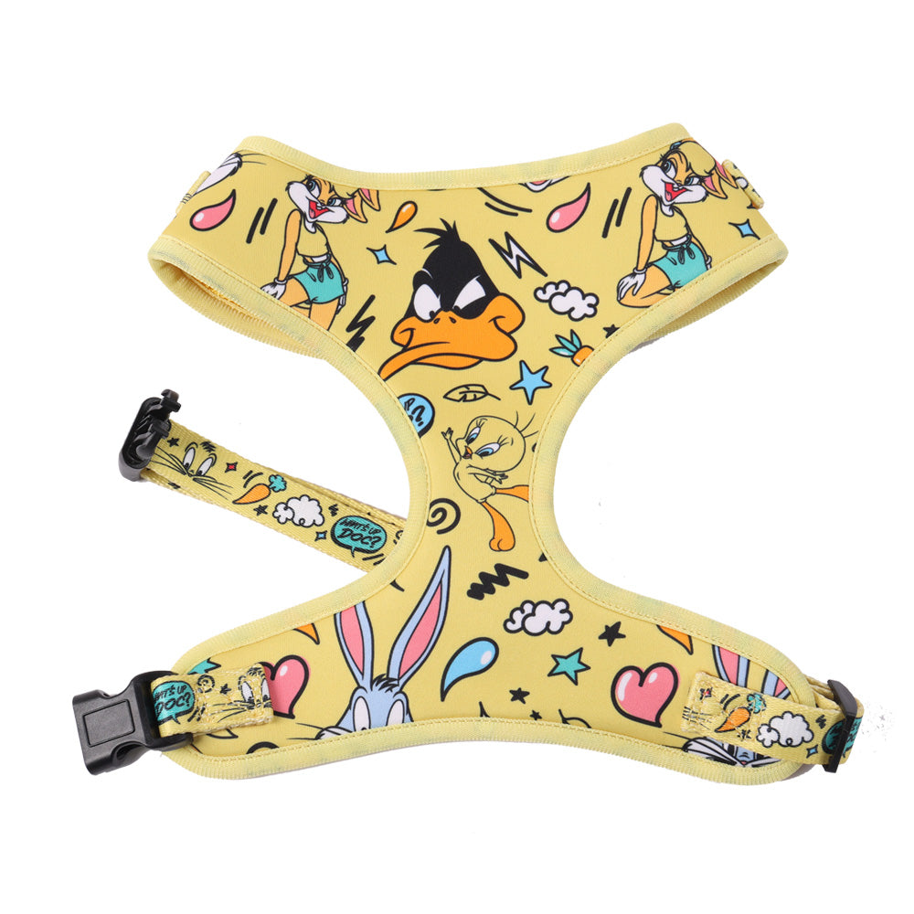 Looney Tunes Dog Harness XS-XL