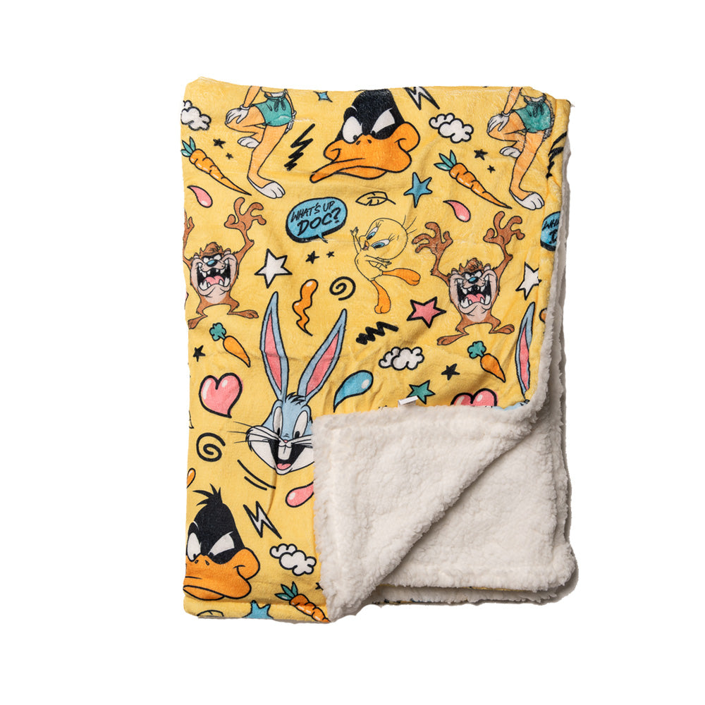 Looney Tunes Dog Blanket