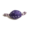 Melbourne Storm NRL Footy Chew Toy
